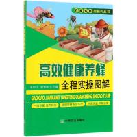 高效健康养蜂全程实操图解
