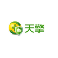 网神WangShen 360天擎服务器杀毒 30用户许可
