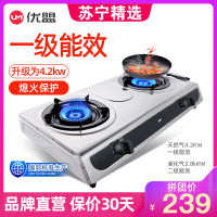 优盟UZ249X 液化气（4.5kW+定时）