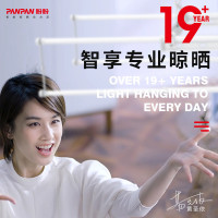 盼盼铝合金外飘衣架 阳台户外推拉晾衣架 室外晒被架折叠晾衣杆外伸缩晒衣架升降晾衣架 3m 香槟色