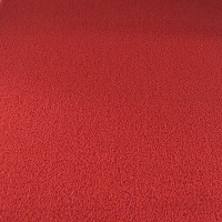 塑料地毯毯入户地垫店脚垫垫进蹭土丝圈家用pvc加厚_7 定制请联系客服 红色