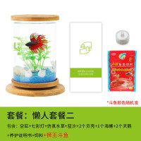 斗鱼生态瓶封闭小鱼瓶免换水瓶装观赏鱼玻璃桌面透明微景观鱼小型_1 默认尺寸 旋转鱼缸-懒人套餐二