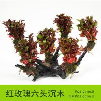 懒人水有茎类鱼缸装饰水榕沉木净化水质的水辣椒榕水族箱_2_159 默认尺寸 【六头】红玫瑰六头沉木