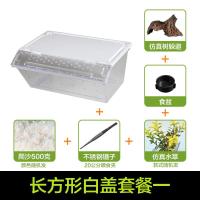 小号饲养箱塑料透明蝎子守宫蜥蜴养殖箱陆龟昆虫鸣虫饲养盒_1_223 默认尺寸 长方形白盖套餐一