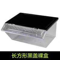 小号饲养箱塑料透明蝎子守宫蜥蜴养殖箱陆龟昆虫鸣虫饲养盒_1_223 默认尺寸 长方形黑盖裸盒