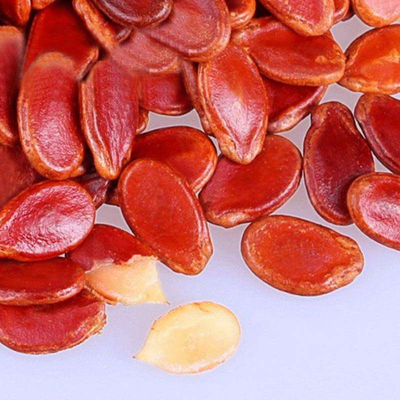 富锦 多味红瓜子(罐装)600克