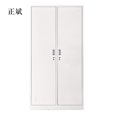 正斌加厚二门钢制更衣柜员工柜铁皮职工储物柜带锁存包柜鞋柜(标准款)