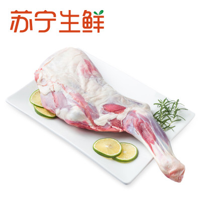 【苏宁生鲜】恒都带骨羊前腿1.2kg 恒都