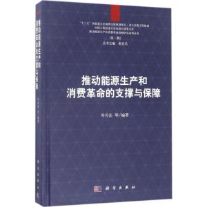 推动能源生产和消费革命的支撑与保障 岑可法 等 编著;谢克昌 丛书主编 著 专业科技 文轩网