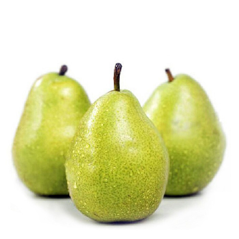 【春节正常发货】进口青啤梨 6个 单果5-6两 梨子 软香梨 新鲜水果 sg