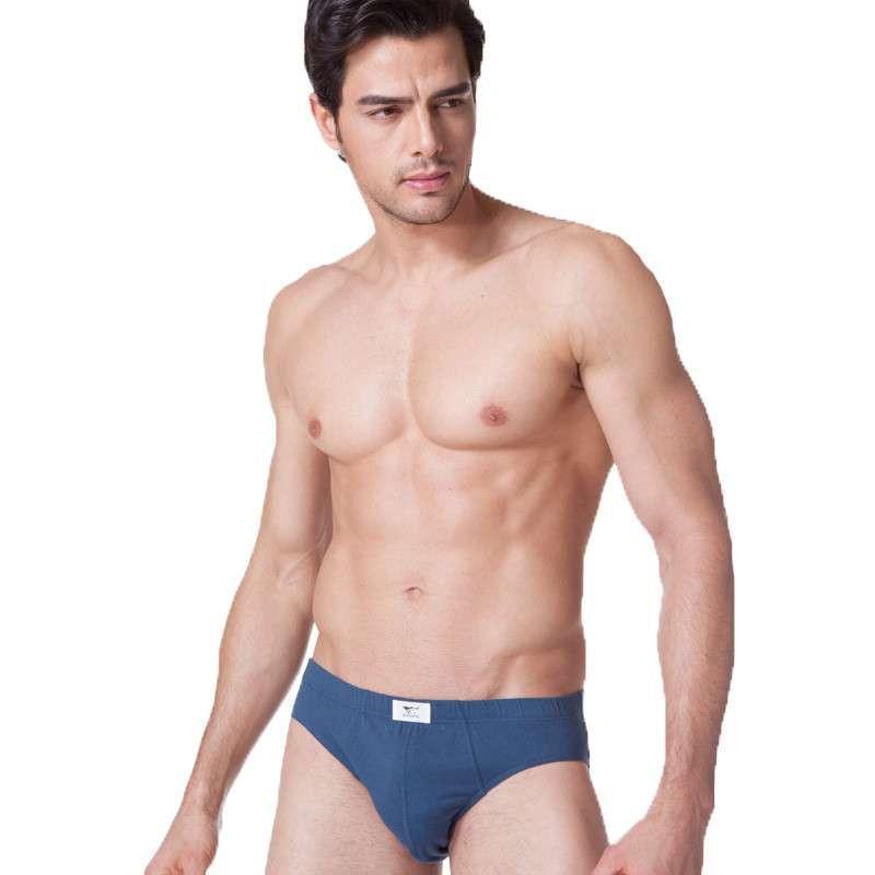 七匹狼(septwolves)男士内裤三角裤底裤棉裤中腰礼盒装