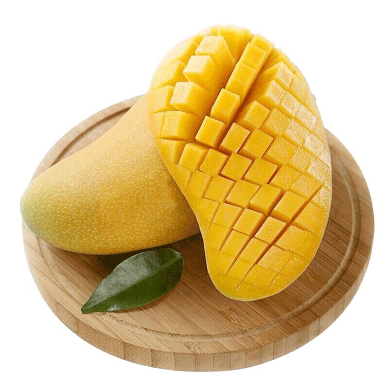 海南金煌水仙芒果3斤/5斤/10斤 单果重400-800g 时令生鲜热带水果产地