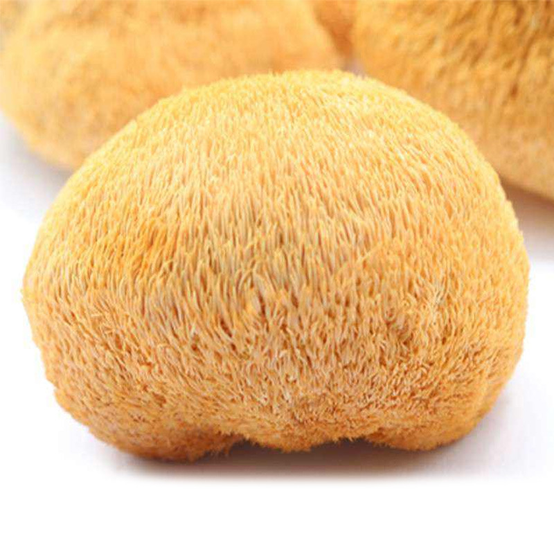 压缩 礼盒装250g 东北土特产 知道熊掌,燕窝,鱼翅吗 对再加上猴头就