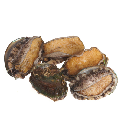 霍小鲜 原产地 鲜活鲍鱼8-10只/500g 1只装 活冻新鲜水产