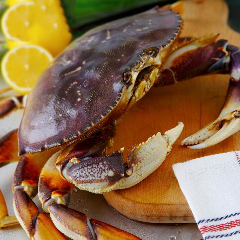 活鲜鲜活美国珍宝蟹700g只公海蟹大螃蟹全国配送顺丰航空