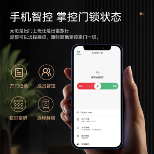 阿斯卡利(ASCARI)全自动指纹锁家用门智能锁密码锁电子锁摄像头可视猫眼