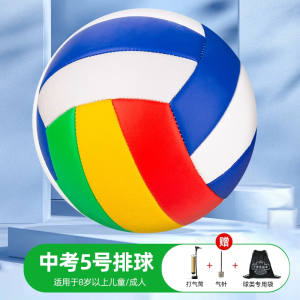 排球中考学生专用5号初中生4号儿童小学生软排男女训练比赛气排球