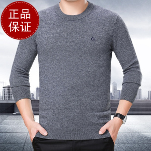 品牌山羊绒 免费试穿春秋季新款羊绒衫圆领男士毛衣羊绒衫男薄款纯色套头100%纯羊羊毛衫品牌专卖店胸前绣花