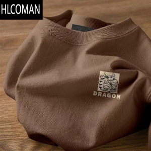 HLCOMAN美式复古t恤短袖男夏季2024新款国潮设计感简约半袖上衣体恤