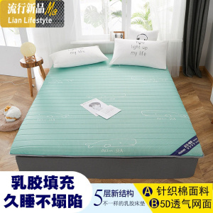 乳胶床垫软租房专用1.2米两面用垫被加厚榻榻米单人硬垫子 三维工匠