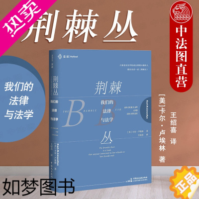 [正版]正版 2020新书 荆棘丛——我们的法律与法学 麦读系列 现实主义法学的名著 批判法学理论 法学院学生法律人律师