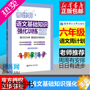 [正版]2023新版 周计划 小学语文基础知识强化训练六年级小升初 6年级上册下册通用版 小学生提升专题练习册教辅辅导大