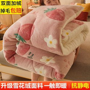 加厚10斤双面绒冬被冬季保暖被子被褥学生宿舍棉被芯