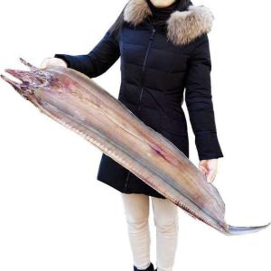 鳗鱼干 鳗鱼干500克/2500克 咸鱼海鳗 海鲜干货5成干