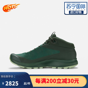 始祖鸟(ARC'TERYX) ERIOS FL Mid GTX 男款户外轻量防水中帮徒步鞋登山鞋低帮