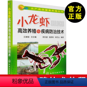 [正版] 小龙虾高效养殖与疾病防治技术水产高效健康养殖书小龙虾养殖技术大全书籍养虾技术书 科学养殖龙虾病害防治书籍 养
