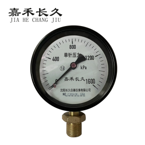 嘉禾长久/单针压力表/Y100/个
