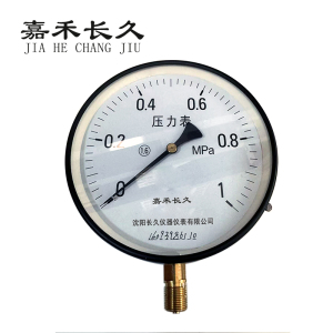 嘉禾长久/普通压力表/Y200/个