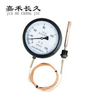 嘉禾长久+压力式温度计定制检测款+WTZ280 120度+个