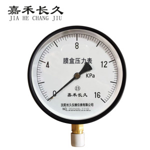 嘉禾长久 膜盒压力表检测型 块