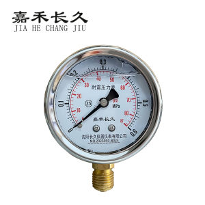 嘉禾长久 耐震压力表检测型 YTN60 块