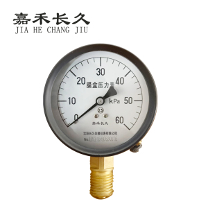 嘉禾长久 膜盒压力表检测型 YE60 块