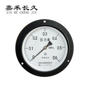 嘉禾长久 轴向带边压力表检测型 Y150ZT 块