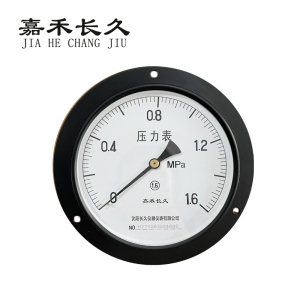 嘉禾长久 轴向带边压力表检测型 Y150ZT 块