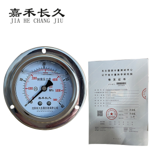 嘉禾长久 耐震压力表轴向带边(带辽宁省级检定证书)YTN60ZT 块