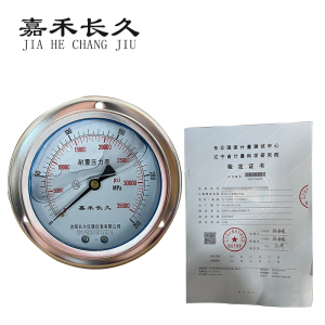 嘉禾长久 耐震压力表轴向带边(带辽宁省级检定证书)YTN100ZT 块