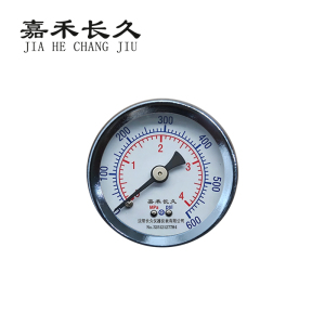 嘉禾长久 压力表轴向检测型 Y40Z 块