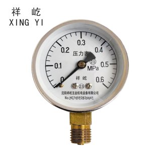 祥屹+氮气压力表检测定制型+Y60+块