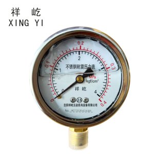 祥屹+不锈钢耐震压力表检测定制型+YN60BF +块