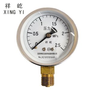 祥屹 压力表检测定制型 Y40 块