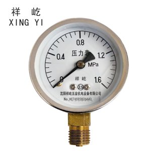 祥屹 压力表检测定制型 Y50 块