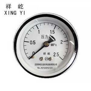 祥屹 压力表检测定制型 Y50Z 块