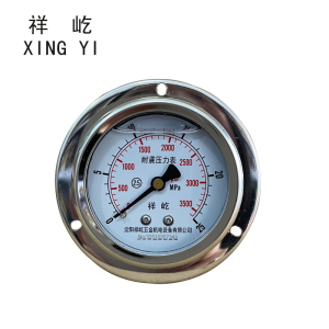 祥屹 耐震压力表(轴向带边) YN60ZT 块