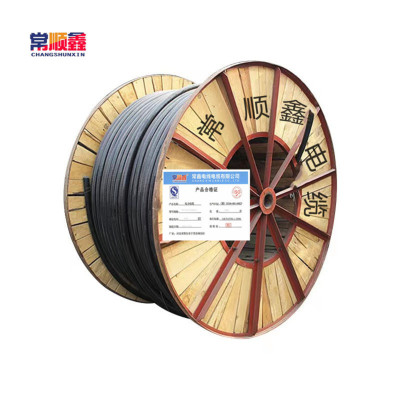 常顺鑫 低压铜芯电缆ZC-YJV22 3×240+1×120 米