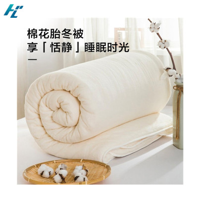 惠承川新疆棉被春秋被100%全棉花被棉絮四季棉花胎垫被