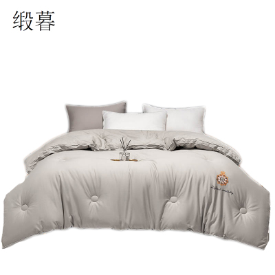 缎暮 A类全棉亲肤舒适大豆抗菌蛋白被单人冬被 150*200CM/5斤 条
